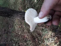 20181004_153744[1].jpg