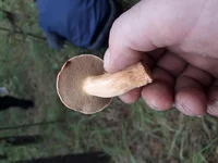 20181004_152938[1].webp