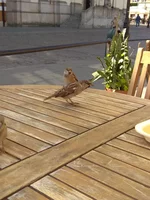 IMG_20180917_130147.webp