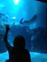 IMG_20180918_102602.webp