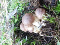 20181006_160016.webp