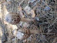 20181007_115413[1].webp