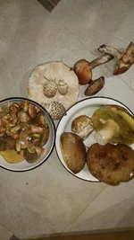 IMG_20181009_185618.webp