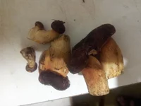 20181011_193834.jpg