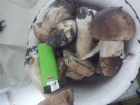 20181011_193857.webp