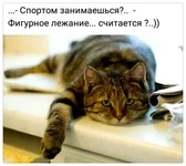  лежание.webp