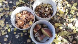 20181012_122853.webp