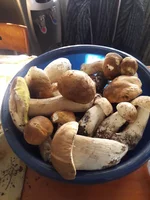 20181013_165814.webp