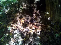 IMG_20181013_113239.webp