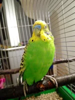 IMG-98ce15e79b6fa8f6c234eb7a120ffd6d-V.webp