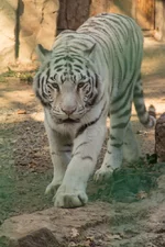 20181014-IMG_0074small.webp