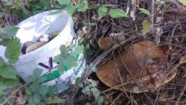 20181017_114929.jpg