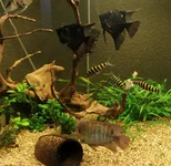 IMG_20181009_145834.webp