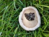 20181018_092154.webp