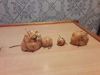 20181018_180650[1].webp