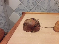 20181018_180655[1].webp