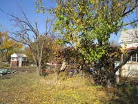 IMG_0579.webp