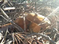 2018-10-19 16.08.05.webp