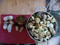 IMG_20181019_143651.jpg
