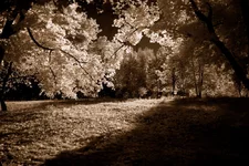 DSC_0302.webp