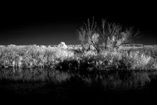 DSC_0311.webp