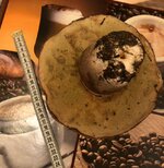 IMG_20181019_215459.jpg