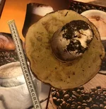 IMG_20181019_215459.webp