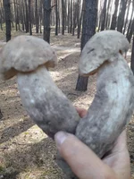 20181020_113856.webp