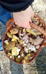 IMG_20181020_124138.jpg
