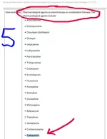 5.webp