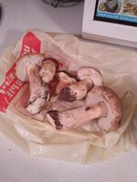 IMG_2018-10-21_172004.jpg