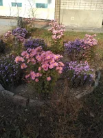 IMG_2018-10-20_121120.jpg