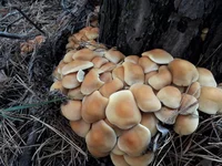 20181023_144829[1].webp