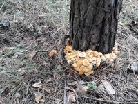 20181023_144854[1].webp