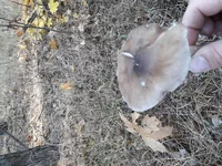 20181023_145325[1].webp
