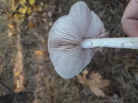 20181023_145329[1].jpg