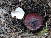 20181023_145926[1].jpg