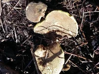 20180930_125748.webp