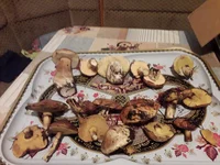 20181024_183511[1].webp