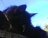 IMG4190A.jpg