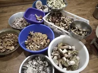 IMG_20181027_202056.jpg