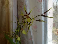 P1090122 1.webp