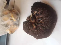 20181030_121853.webp