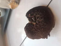 20181030_121819.webp
