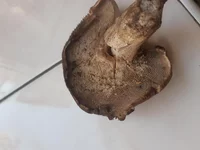 20181030_121832.webp