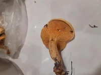 20181030_193743.webp