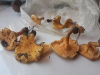 20181030_122000.webp