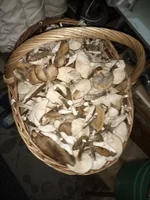 IMG_20181102_182527.webp