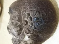 20181103_183146.webp
