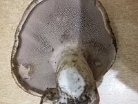 20181103_183114.webp